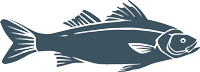 Silhouette of a fish design