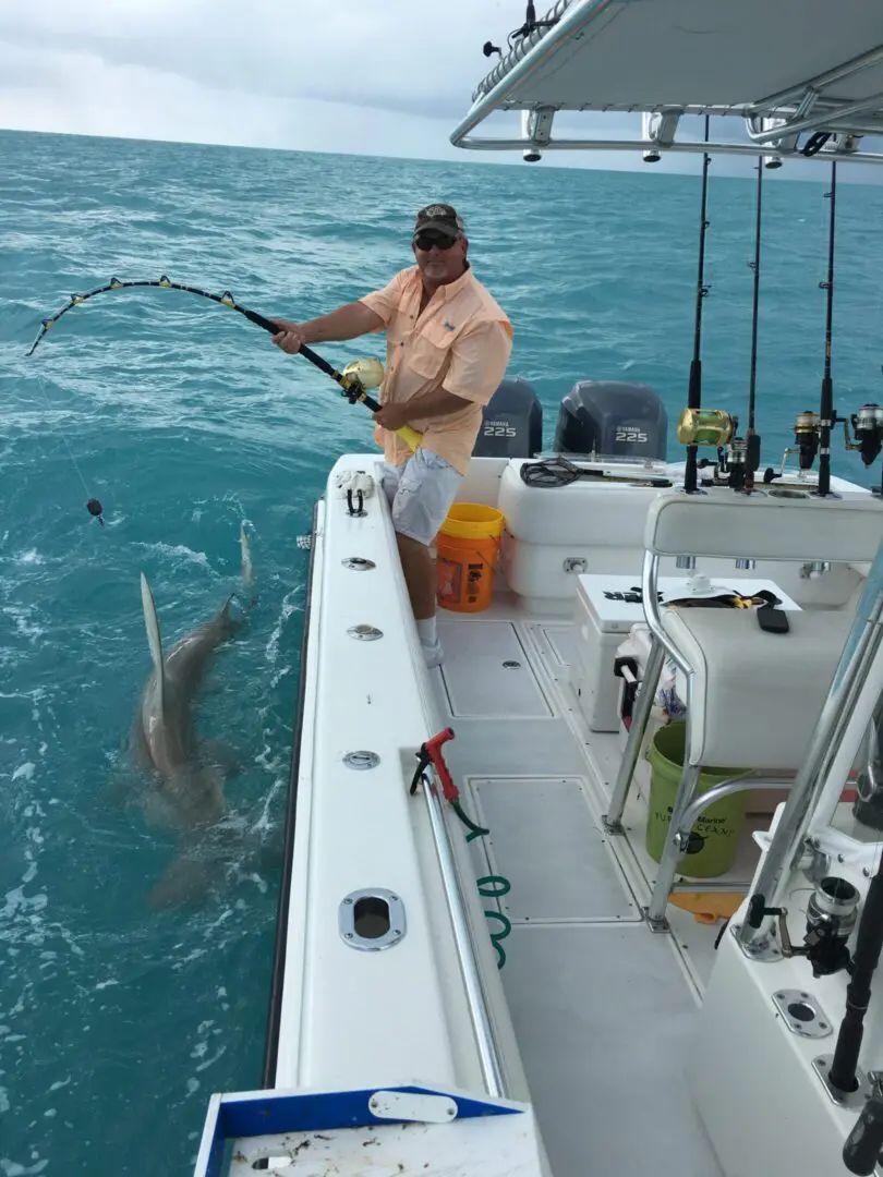 Fisherman reeling in a shark from boat.