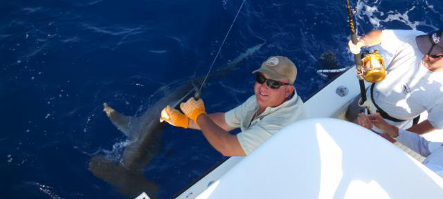 Fishing report - captain jason with hammerhead shark
